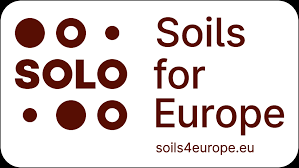 SOLO project logo