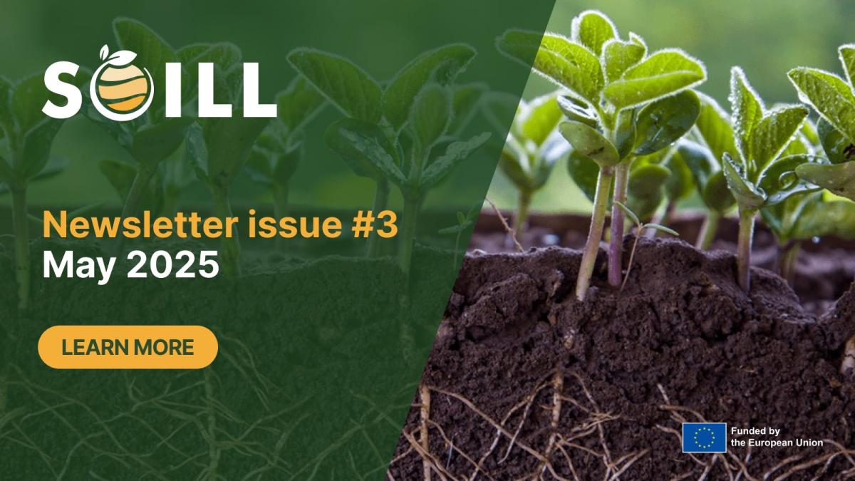 Newsletter issue #3 - May 2025