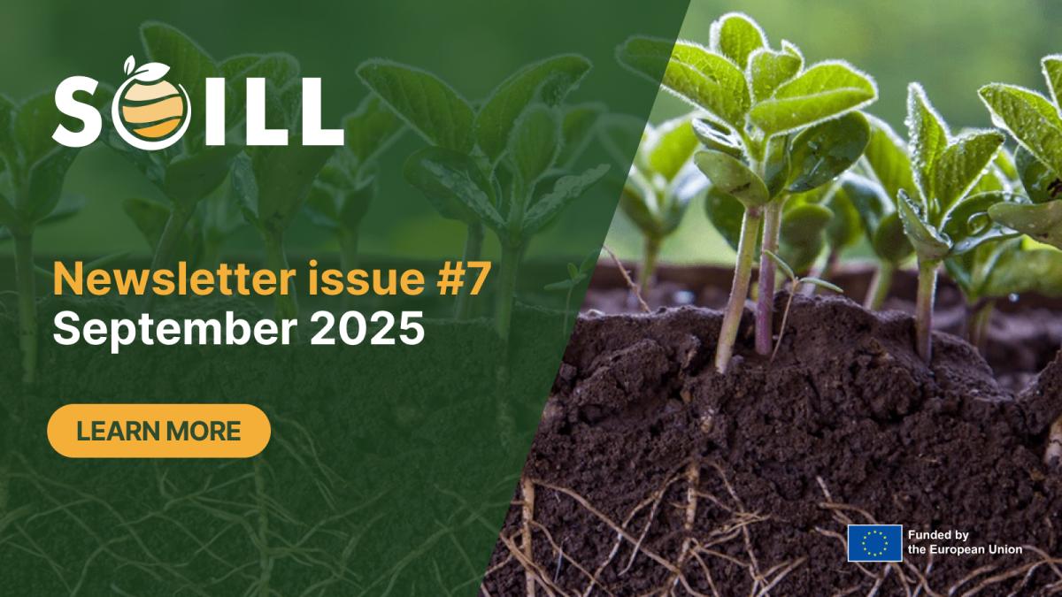 Newsletter issue #7 - September 2025