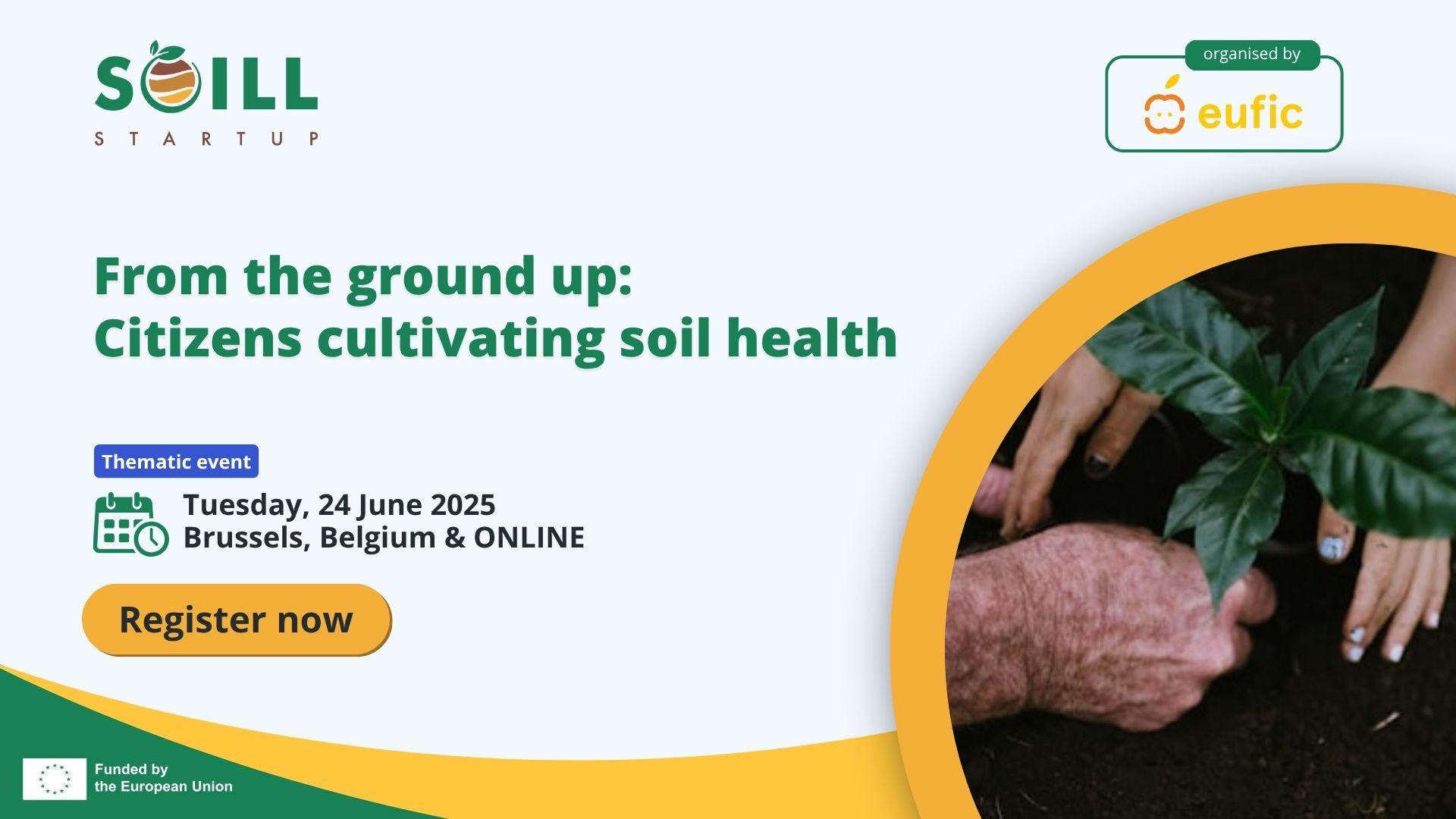 Comet Louise, Pl. Stéphanie 20, 1050 Bruxelles & ONLINE