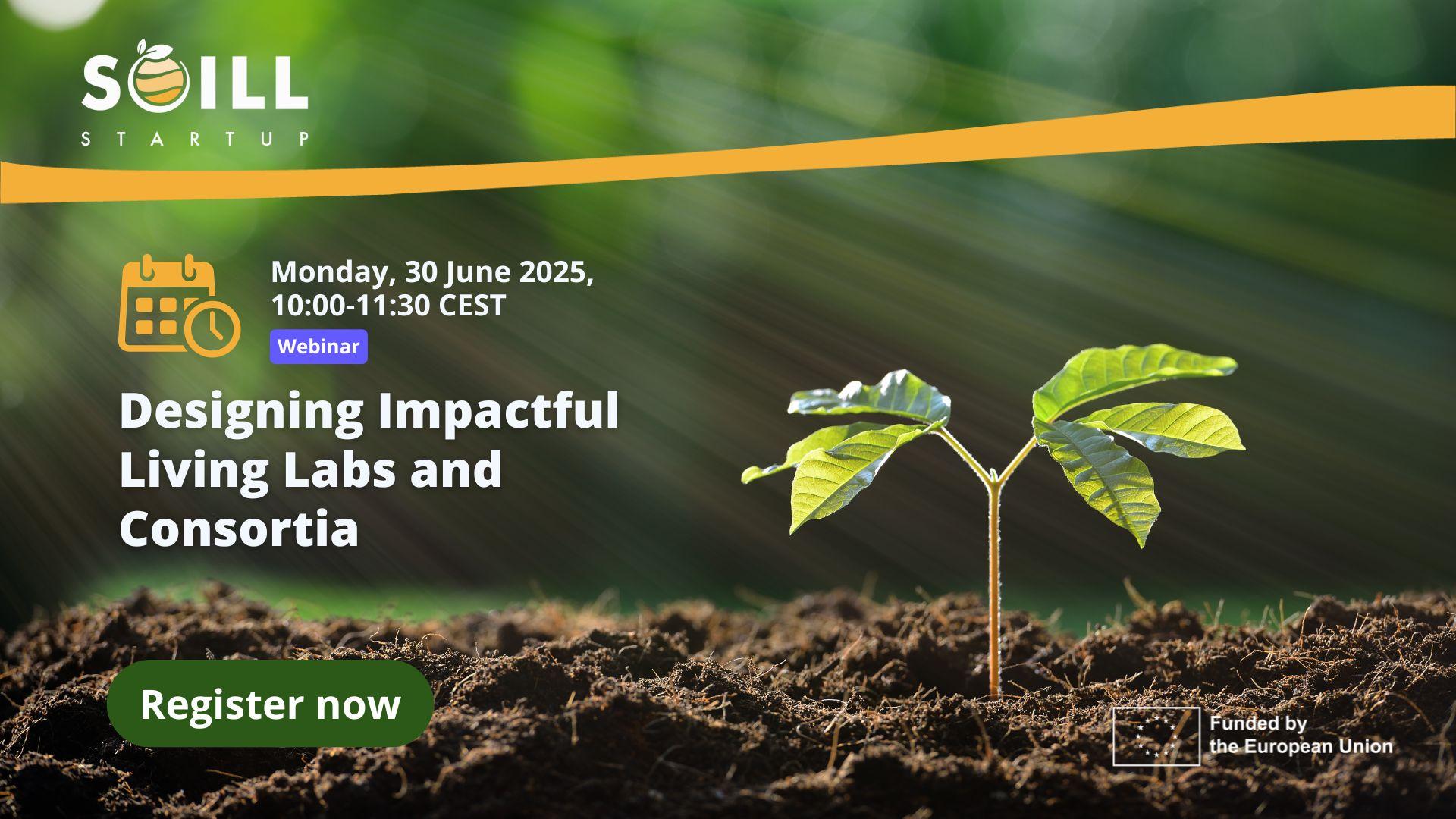 Designing Impactful Living Labs and Consortia