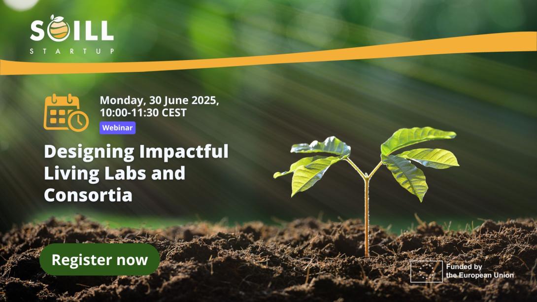 Designing Impactful Living Labs and Consortia