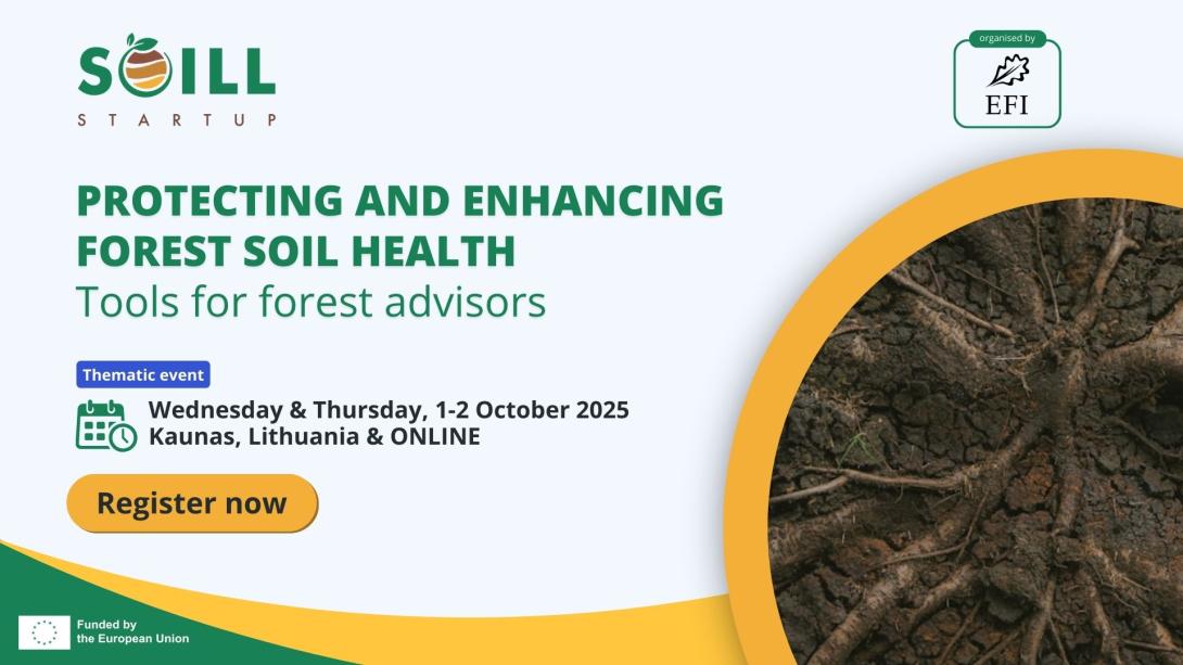 yellow green banner with a forest soil roots image